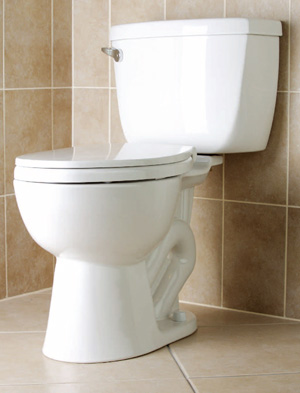 Standard White Toilet