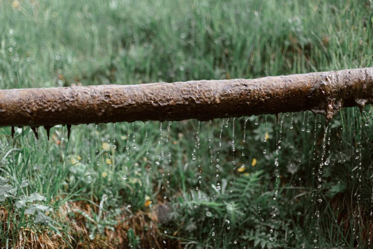 pexels-eberhard-grossgasteiger-4406597-scaled